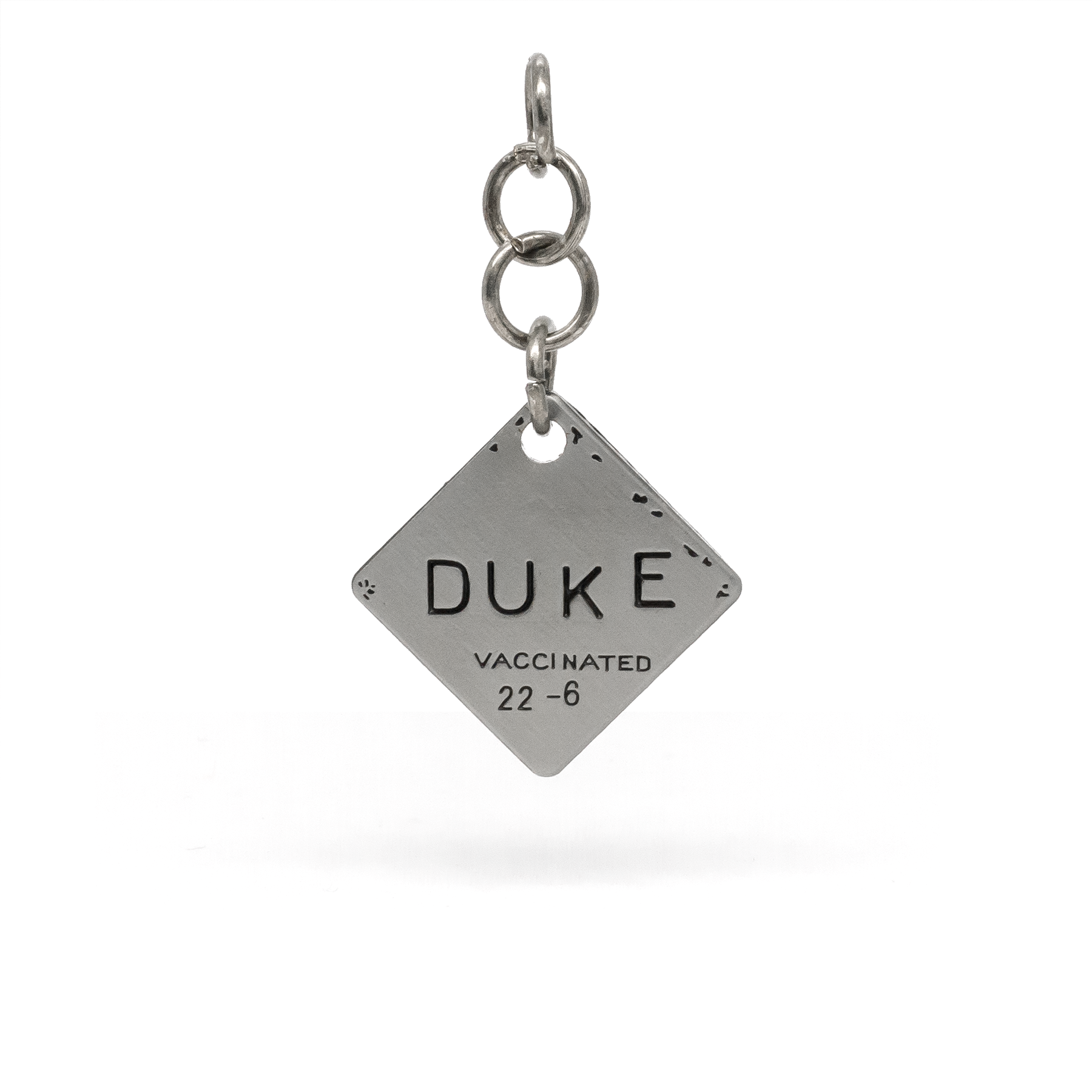 Isle of Dogs Keychain & Charm set